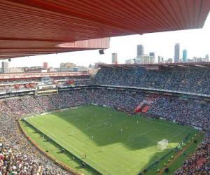 Puzzle Ellis Park Stadium (61.639), Johannesburg